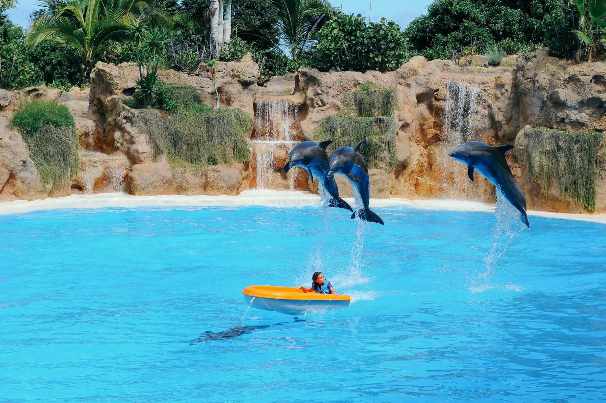 Eden Rentals Moderno Y Coqueto Estudio Con Vistas Puerto de la Cruz  Dış mekan fotoğraf